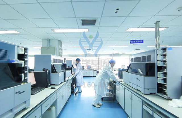 冬季,应对雾霾并发症,基因解码有妙招! 冬季,应对雾霾并发症,基因解码有妙招!